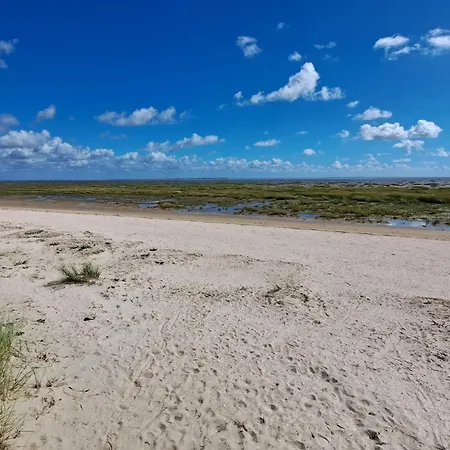 Luxury Retreat With Pool - By Traum Fanø