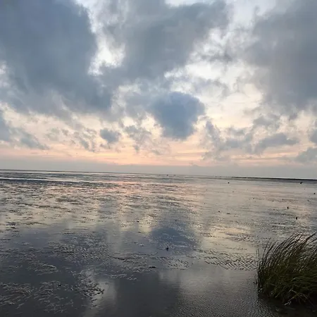 Casa de Férias Luxury Retreat With Pool - By Traum Fanø