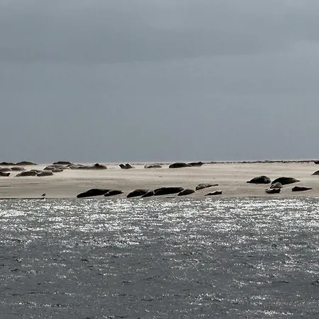 Luxury Retreat With Pool - By Traum