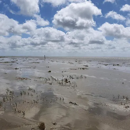 Hébergement de vacances Luxury Retreat With Pool - By Traum Fanø