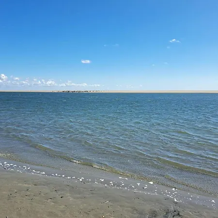 Luxury Retreat With Pool - By Traum