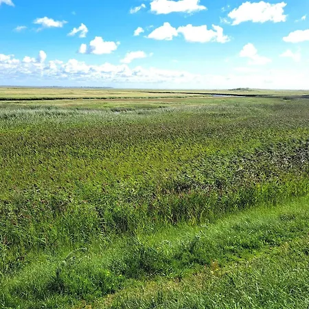 Luxury Retreat With Pool - By Traum * Fanø