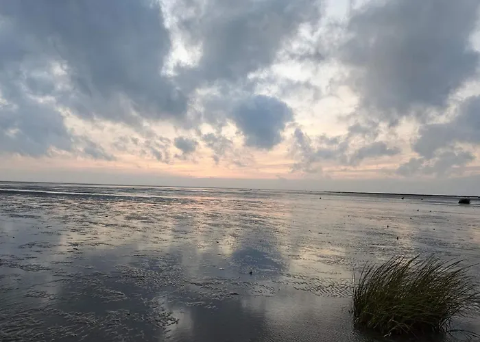 別荘 Luxury Retreat With Pool - By Traum Fanø