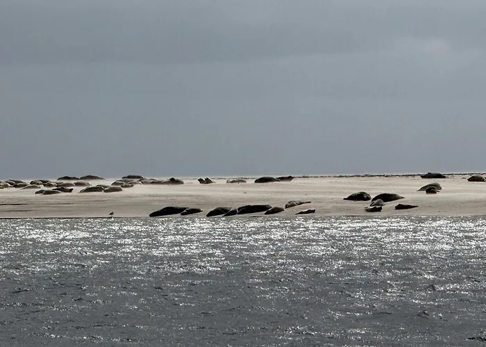 Luxury Retreat With Pool - By Traum