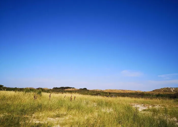 Luxury Retreat With Pool - By Traum * Fanø