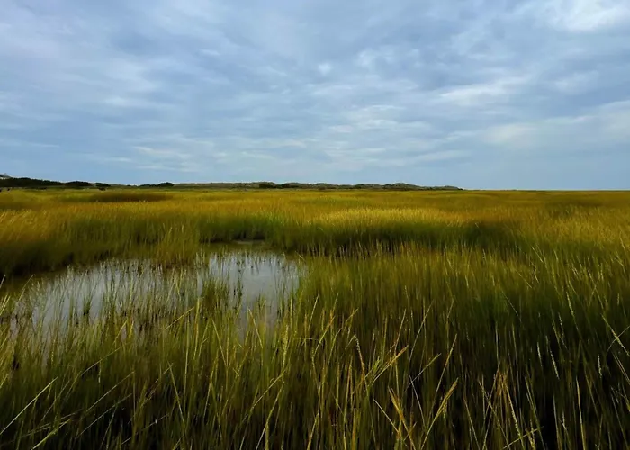 別荘 Luxury Retreat With Pool - By Traum