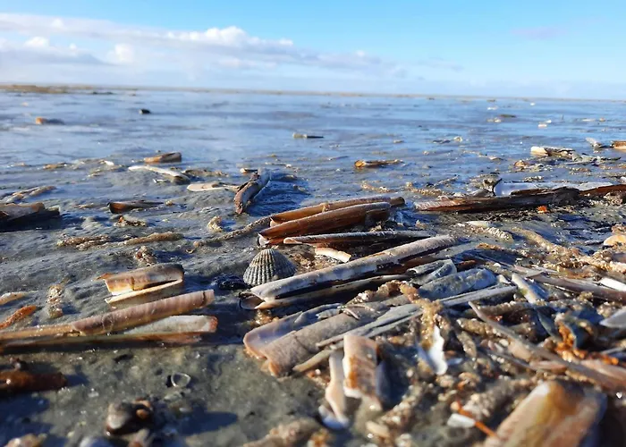 別荘 Luxury Retreat With Pool - By Traum *