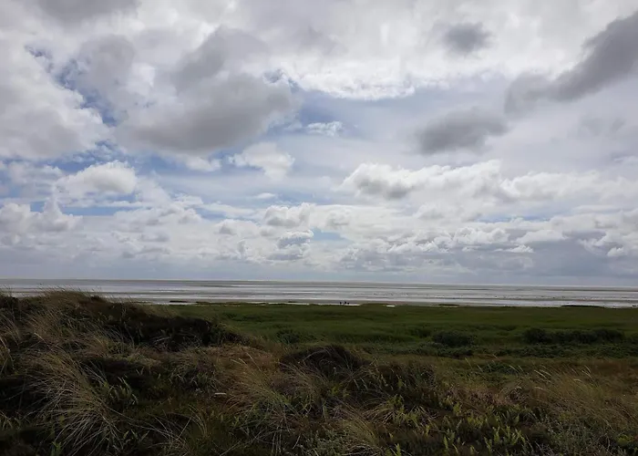 別荘 Luxury Retreat With Pool - By Traum Fanø