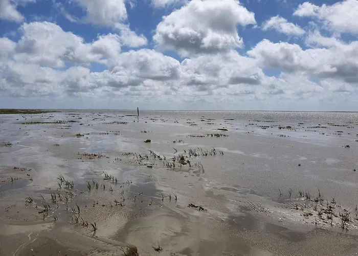 別荘 Luxury Retreat With Pool - By Traum Fanø