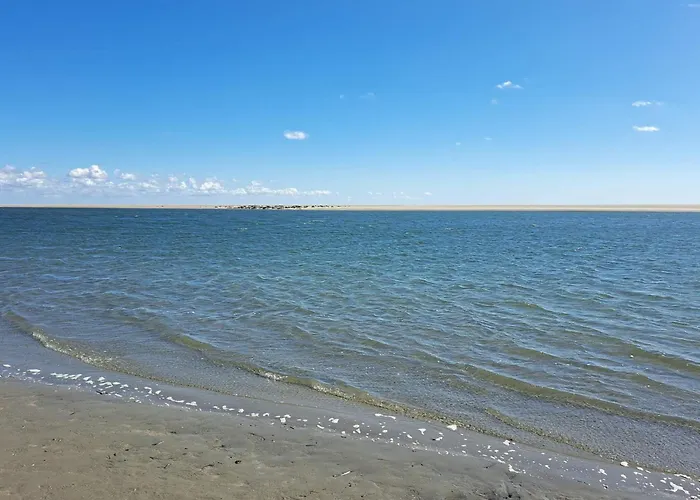 Luxury Retreat With Pool - By Traum