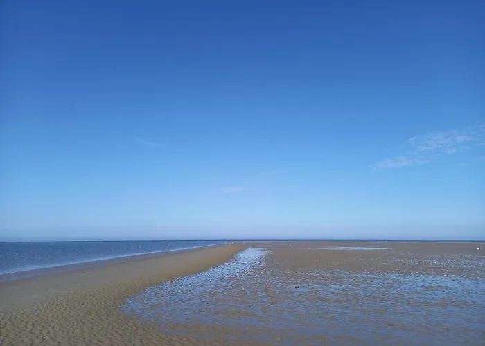 Luxury Retreat With Pool - By Traum 別荘 *