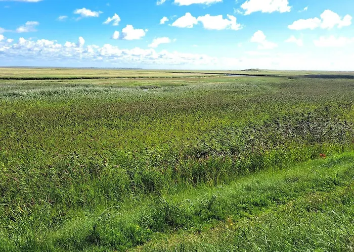 Luxury Retreat With Pool - By Traum * Fanø